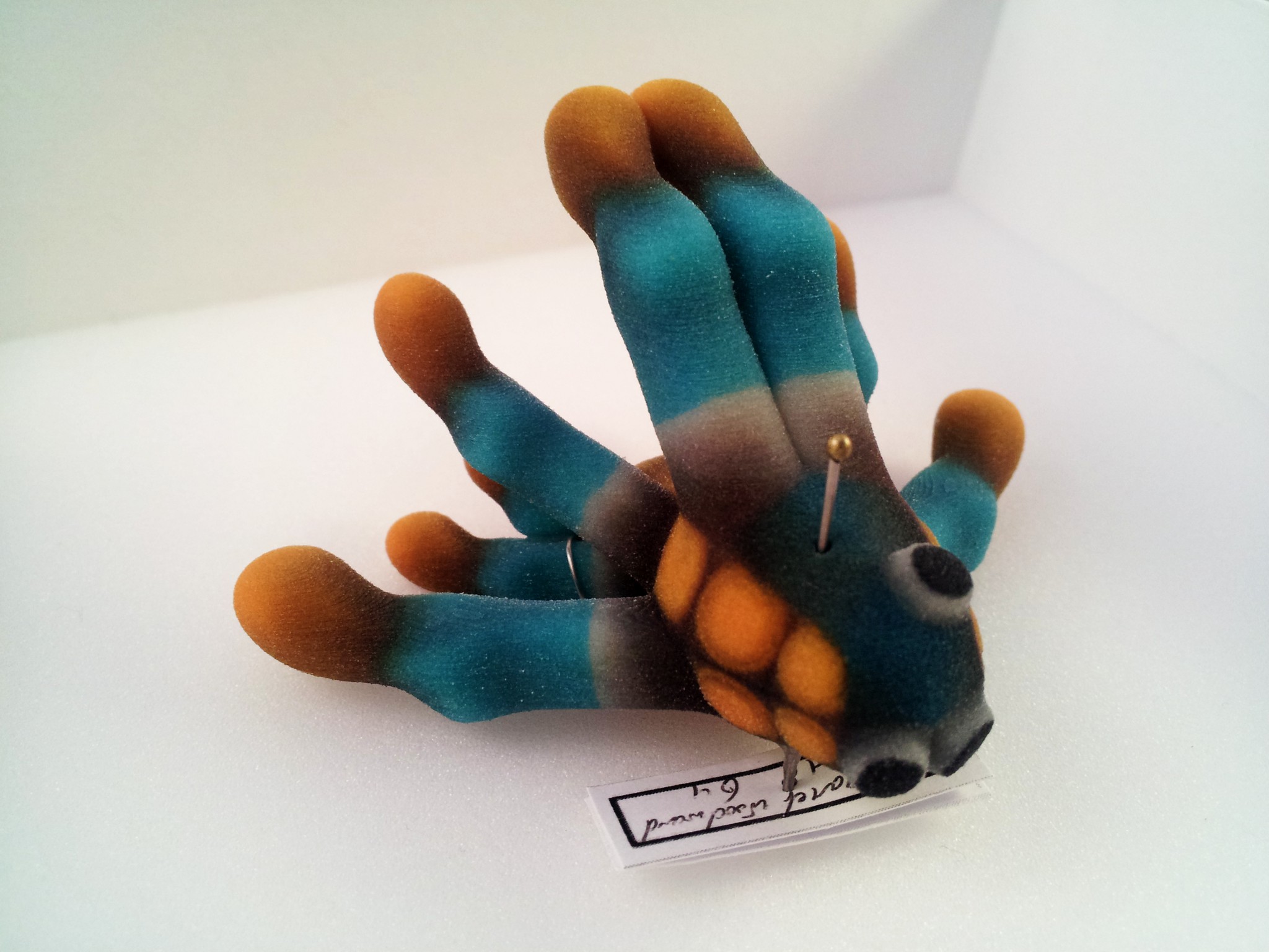 Entoforms, fossils from the future